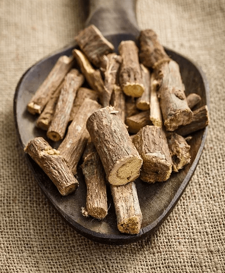 travel, travelguide, Netherlands